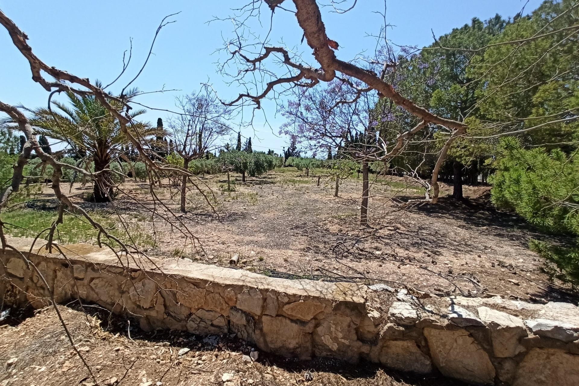 Herverkoop - Finca Landelijk pand -
San Vicente del Raspeig