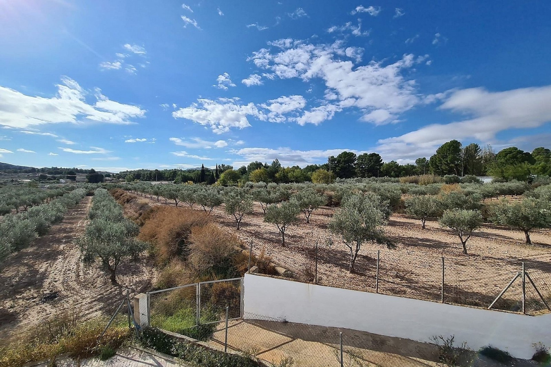 Herverkoop - Finca Landelijk pand -
SAX