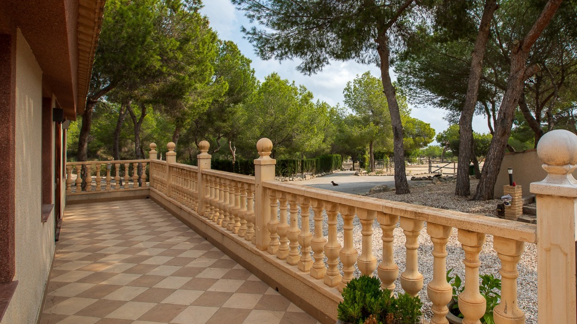 Herverkoop - Finca Landelijk pand -
Torremendo