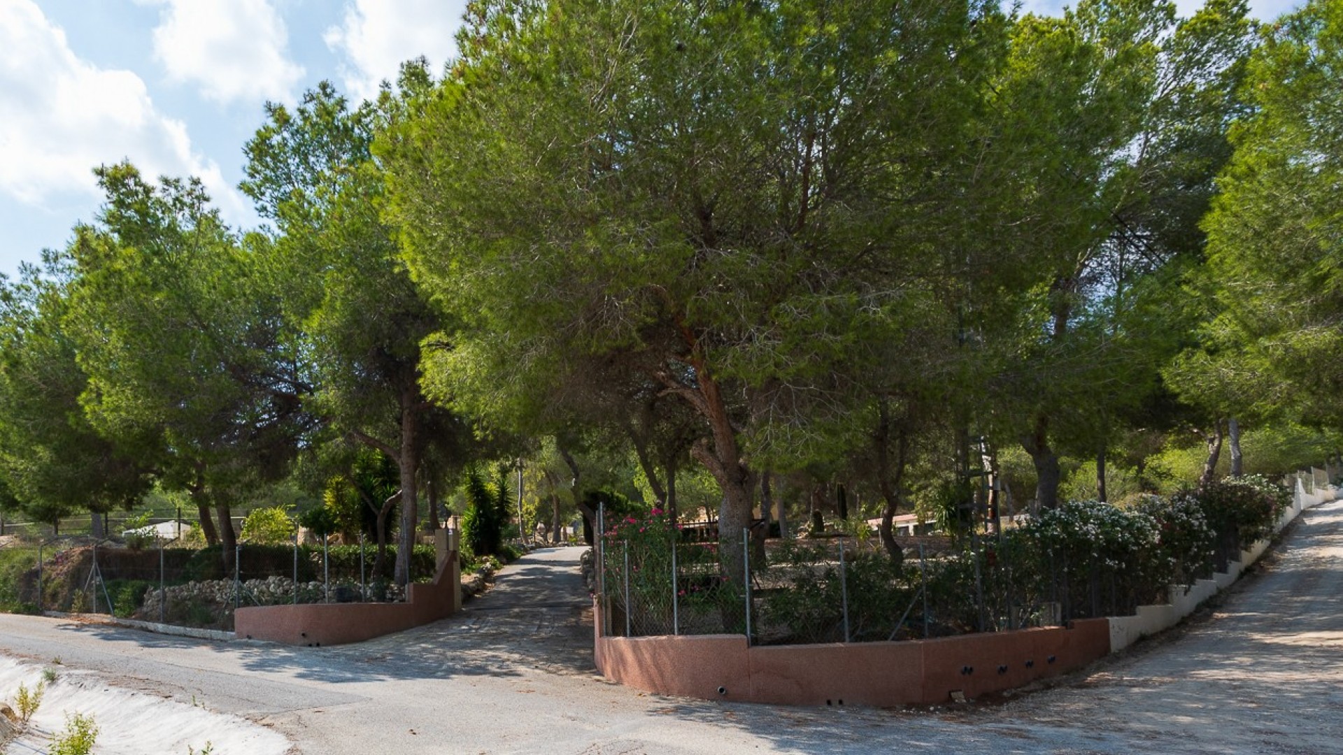 Herverkoop - Finca Landelijk pand -
Torremendo