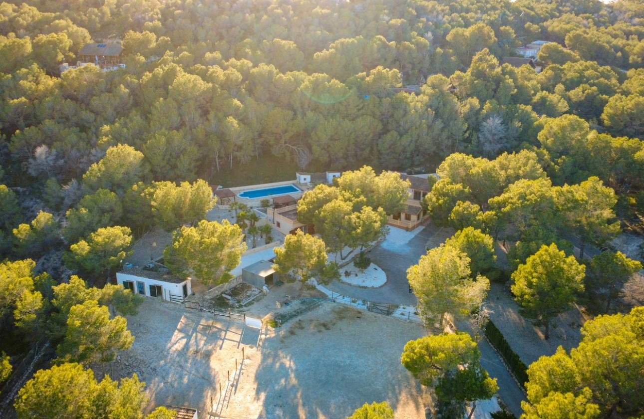 Herverkoop - Finca Landelijk pand -
Torremendo