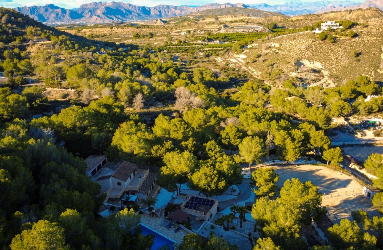 Herverkoop - Finca Landelijk pand -
Torremendo