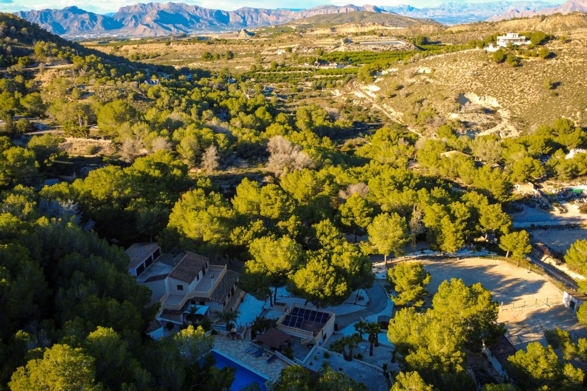 Herverkoop - Finca Landelijk pand -
Torremendo