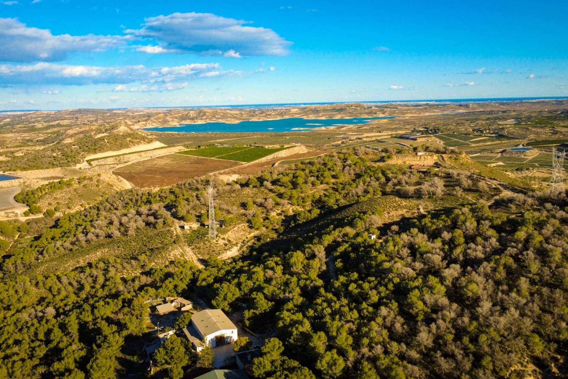 Herverkoop - Finca Landelijk pand -
Torremendo