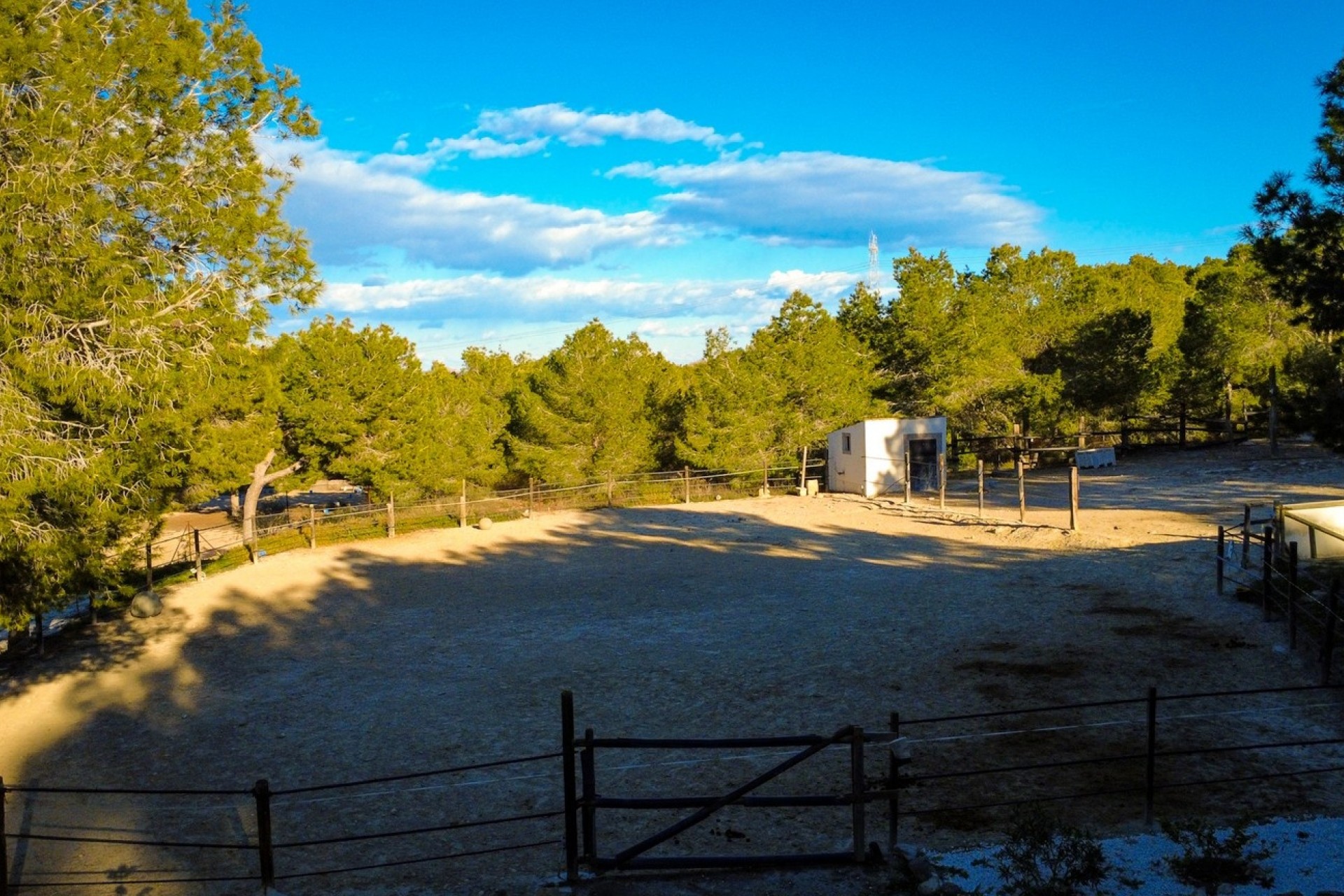 Herverkoop - Finca Landelijk pand -
Torremendo