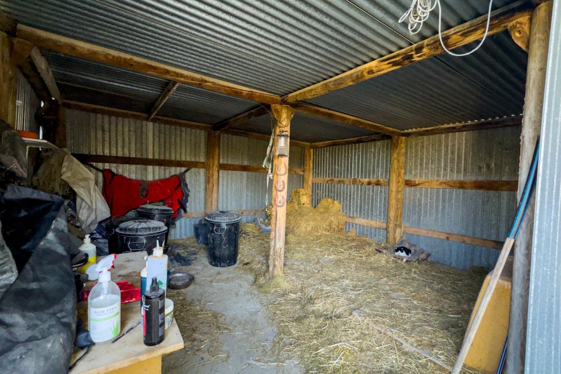 Herverkoop - Finca Landelijk pand -
Torremendo