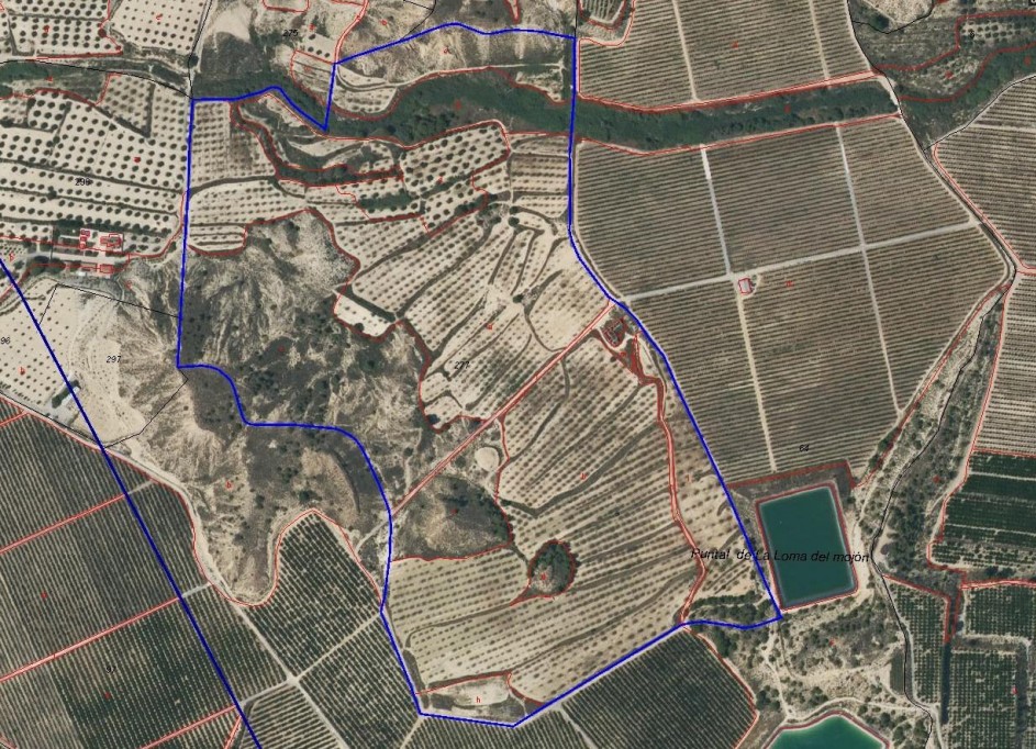 Herverkoop - Finca Landelijk pand -
Torremendo