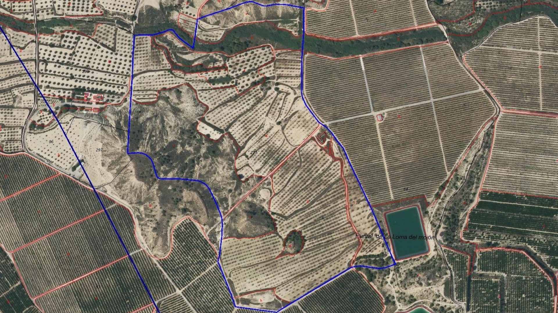 Herverkoop - Finca Landelijk pand -
Torremendo