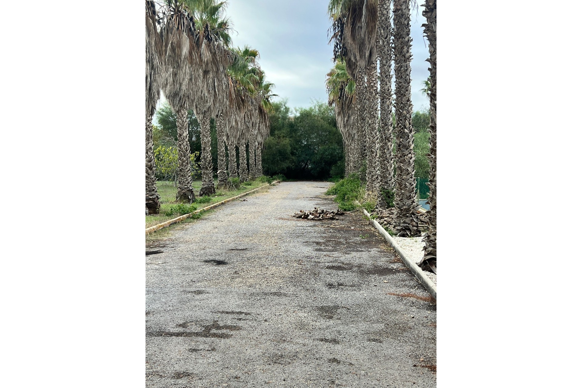 Herverkoop - Finca Landelijk pand -
Torrevieja