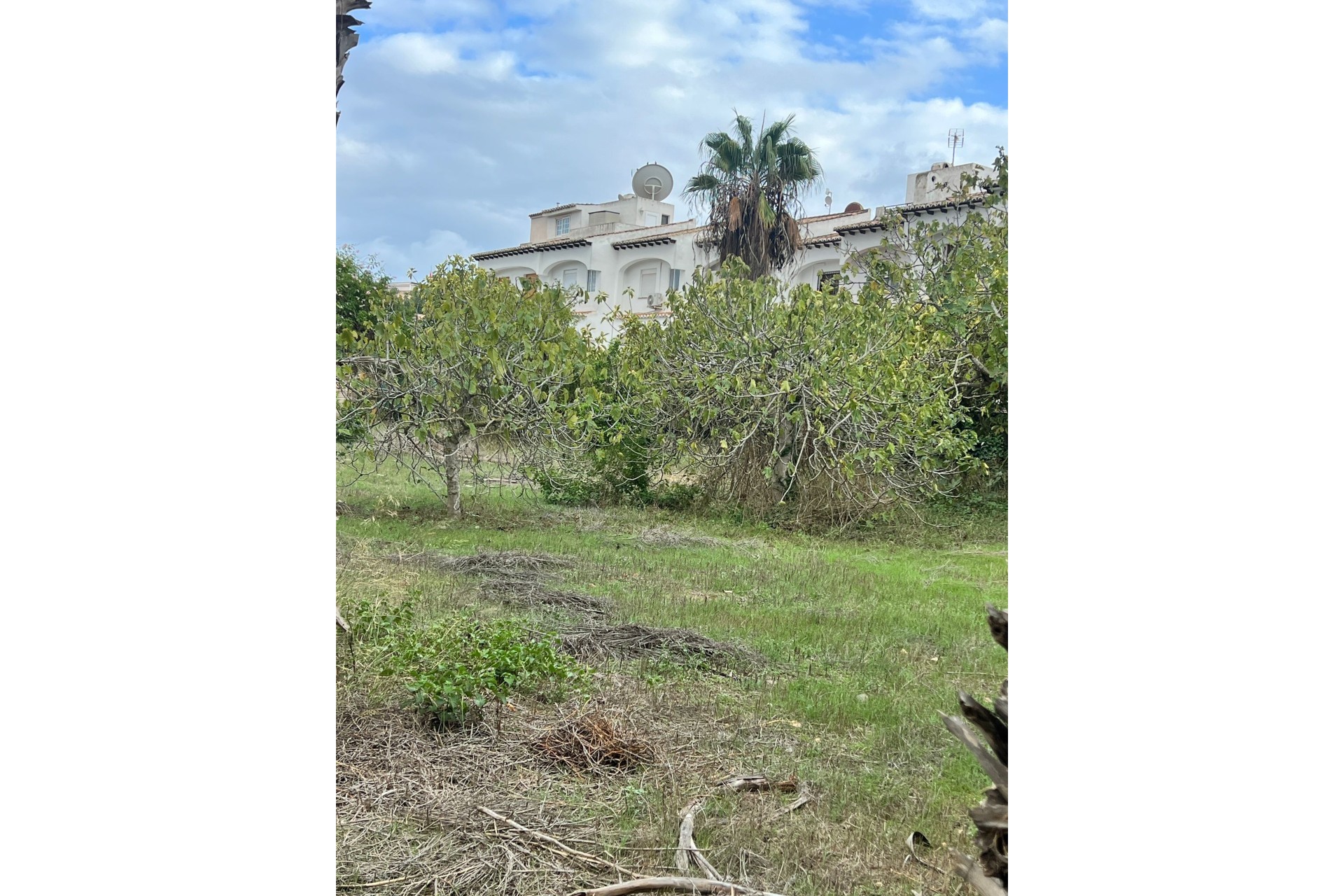 Herverkoop - Finca Landelijk pand -
Torrevieja