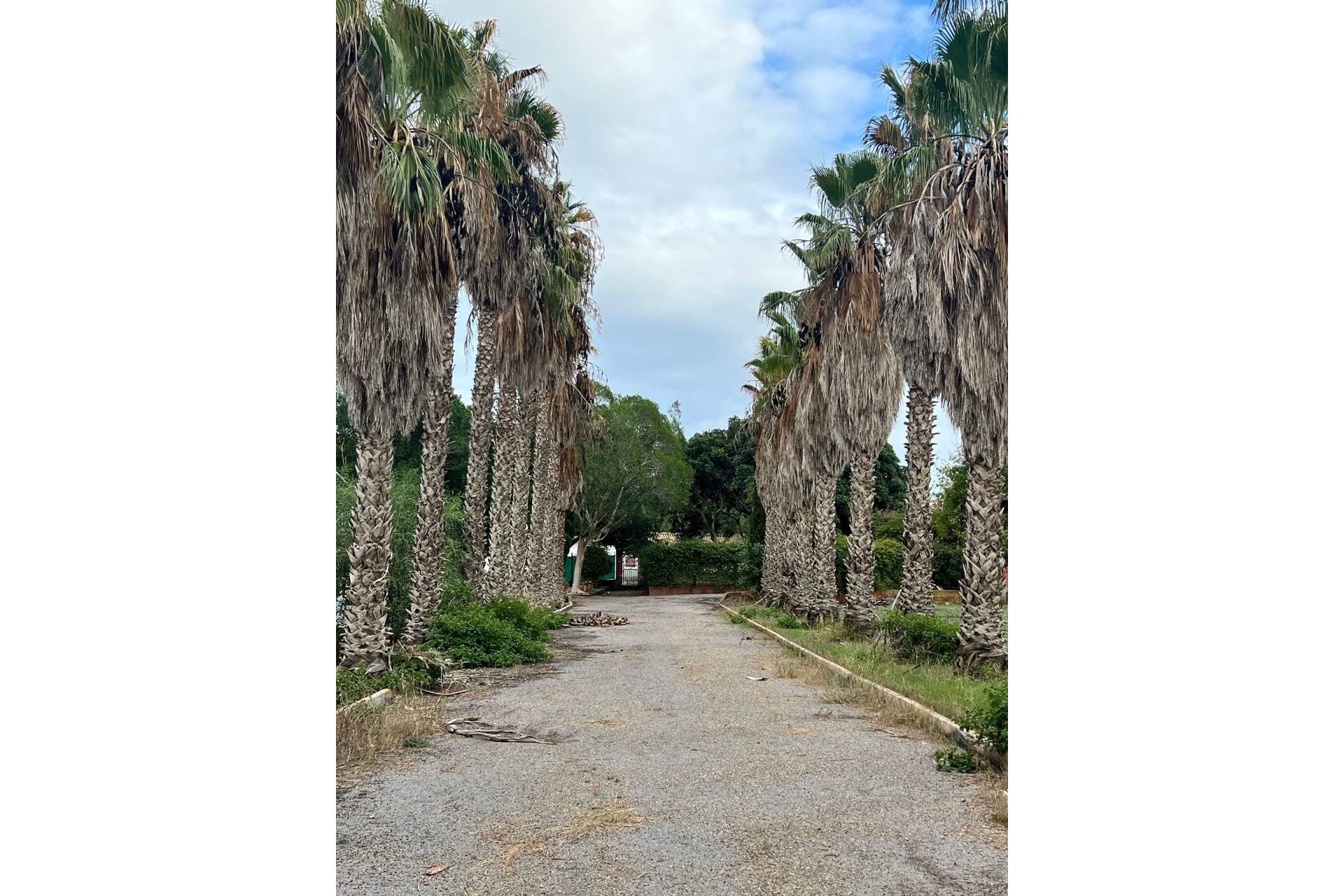 Herverkoop - Finca Landelijk pand -
Torrevieja
