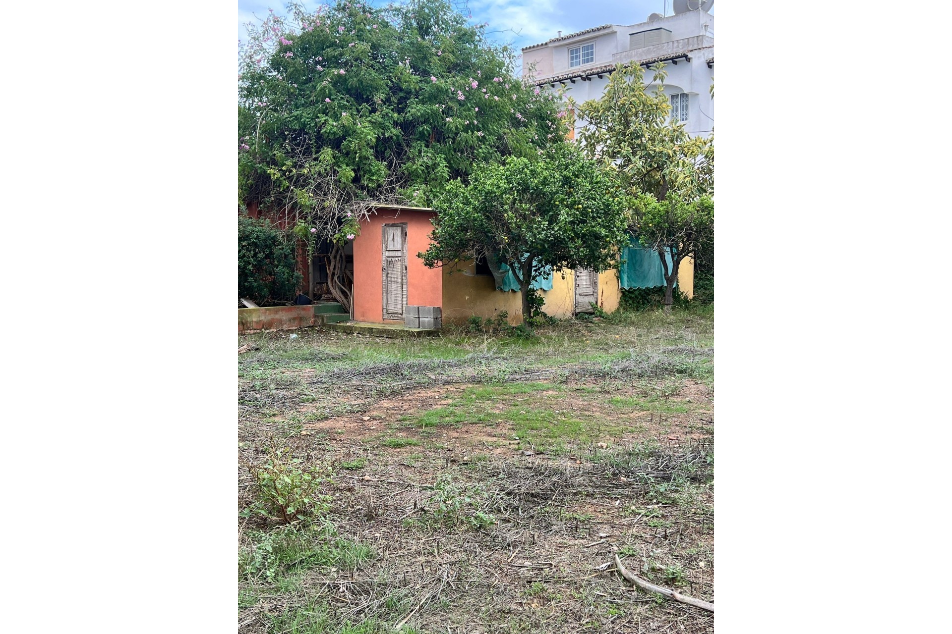 Herverkoop - Finca Landelijk pand -
Torrevieja