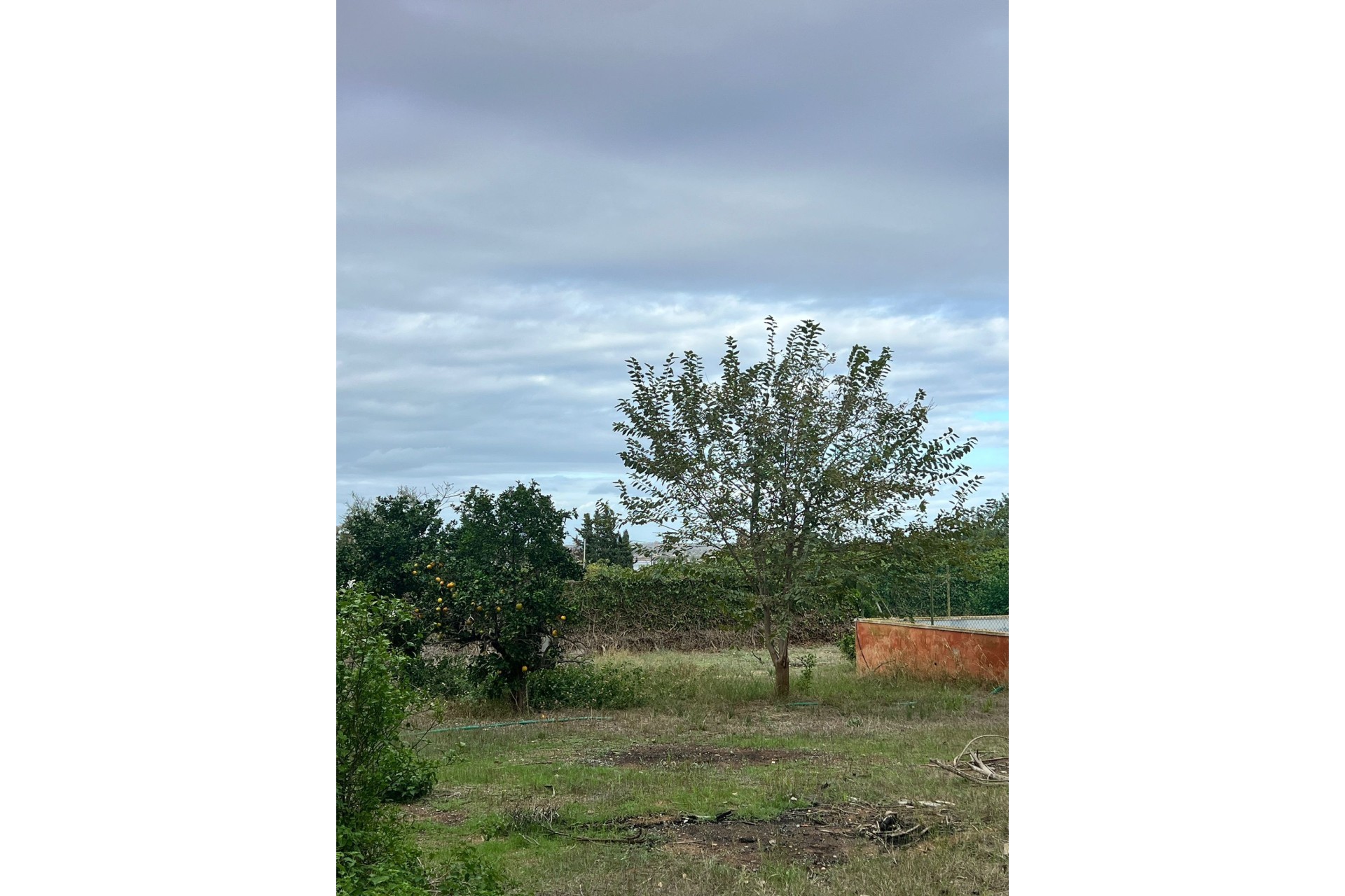 Herverkoop - Finca Landelijk pand -
Torrevieja