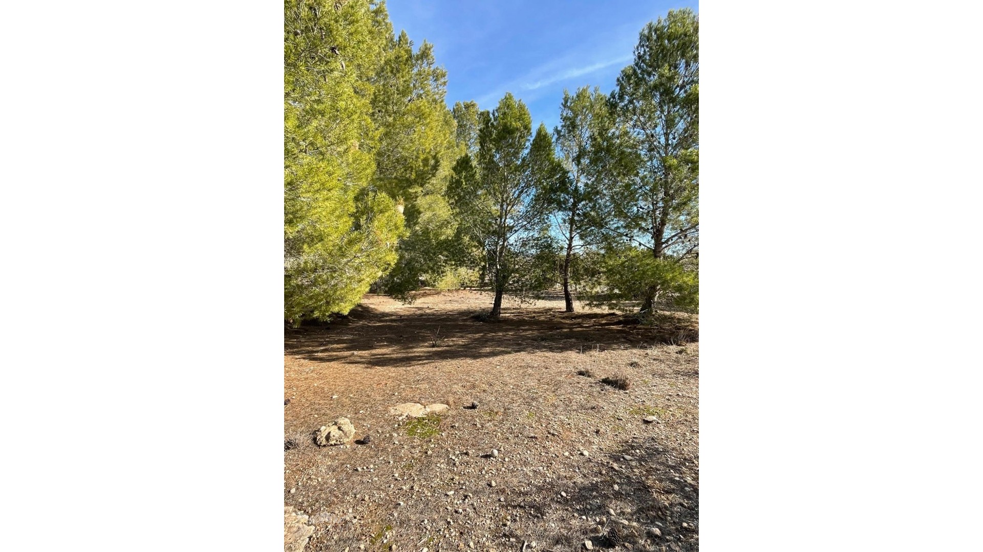 Herverkoop - Finca Landelijk pand -
&Uacute;beda - &Uacute;beda Alicante