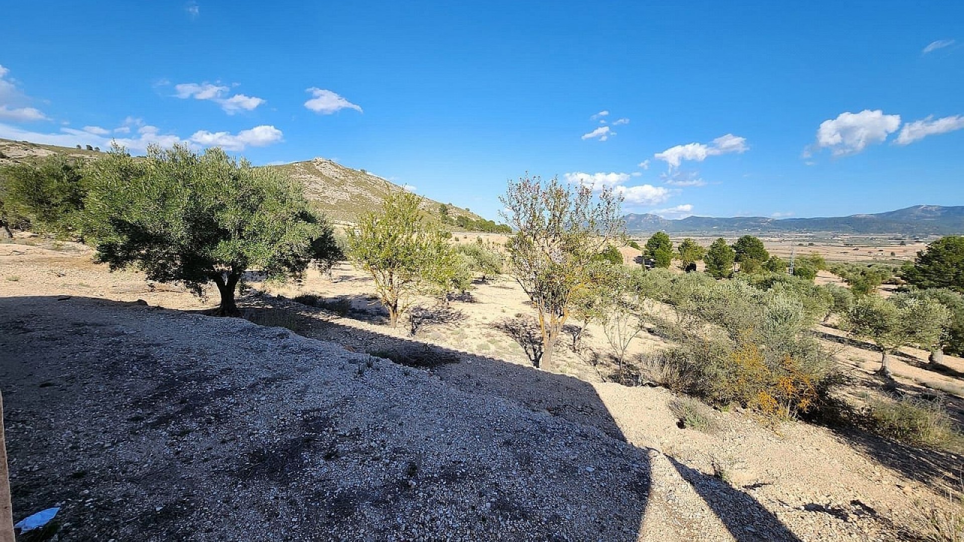 Herverkoop - Finca Landelijk pand -
Villena