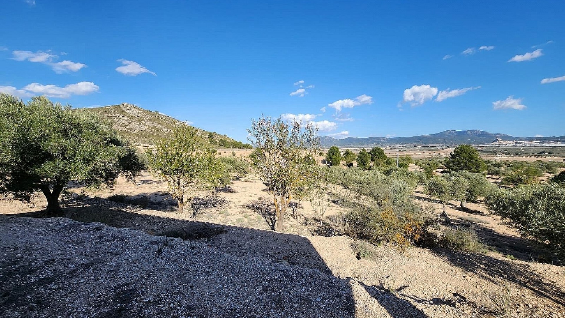 Herverkoop - Finca Landelijk pand -
Villena