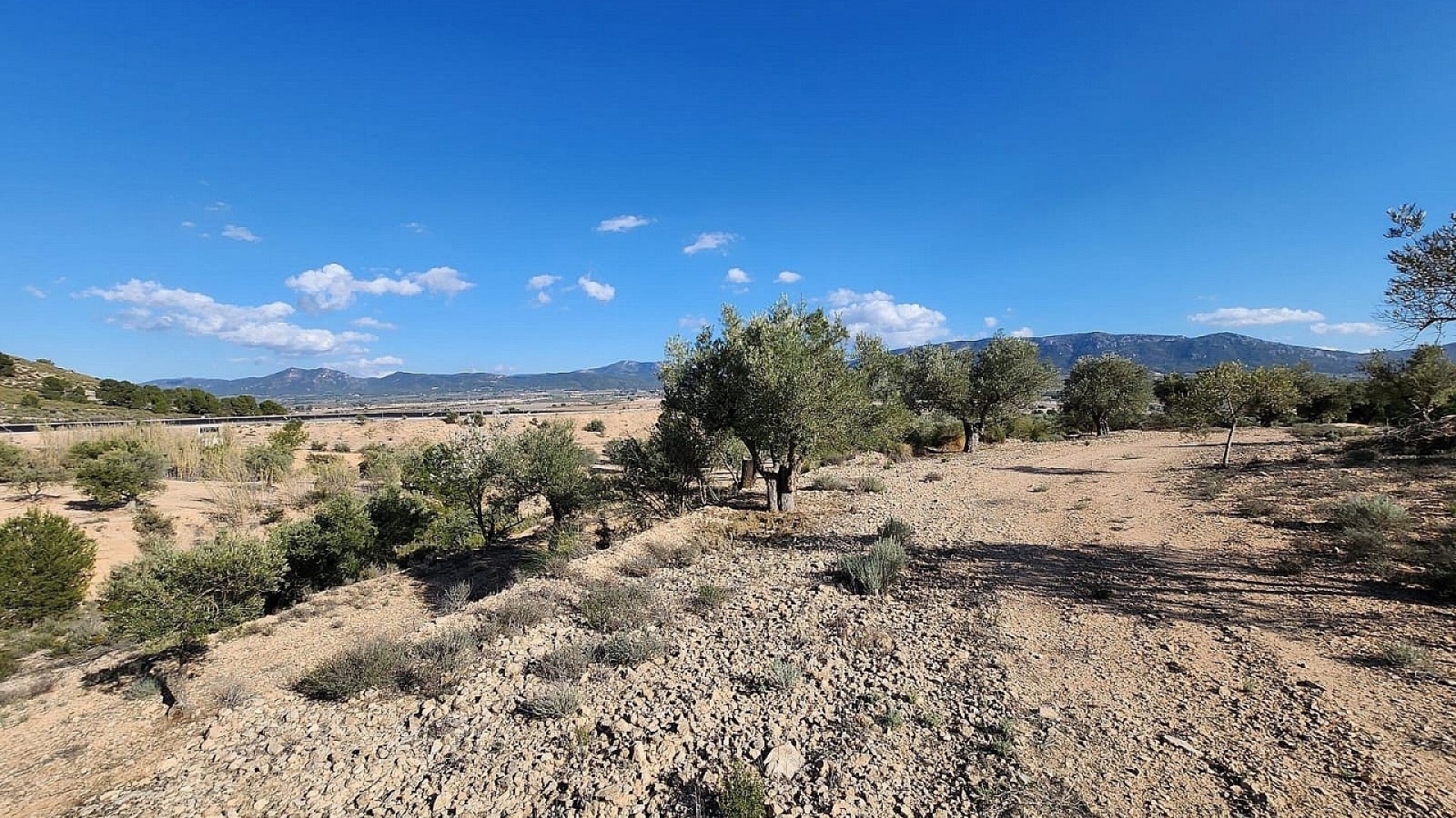 Herverkoop - Finca Landelijk pand -
Villena