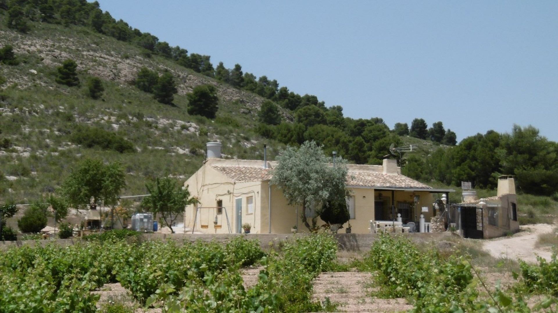 Herverkoop - Finca Landelijk pand -
Yecla