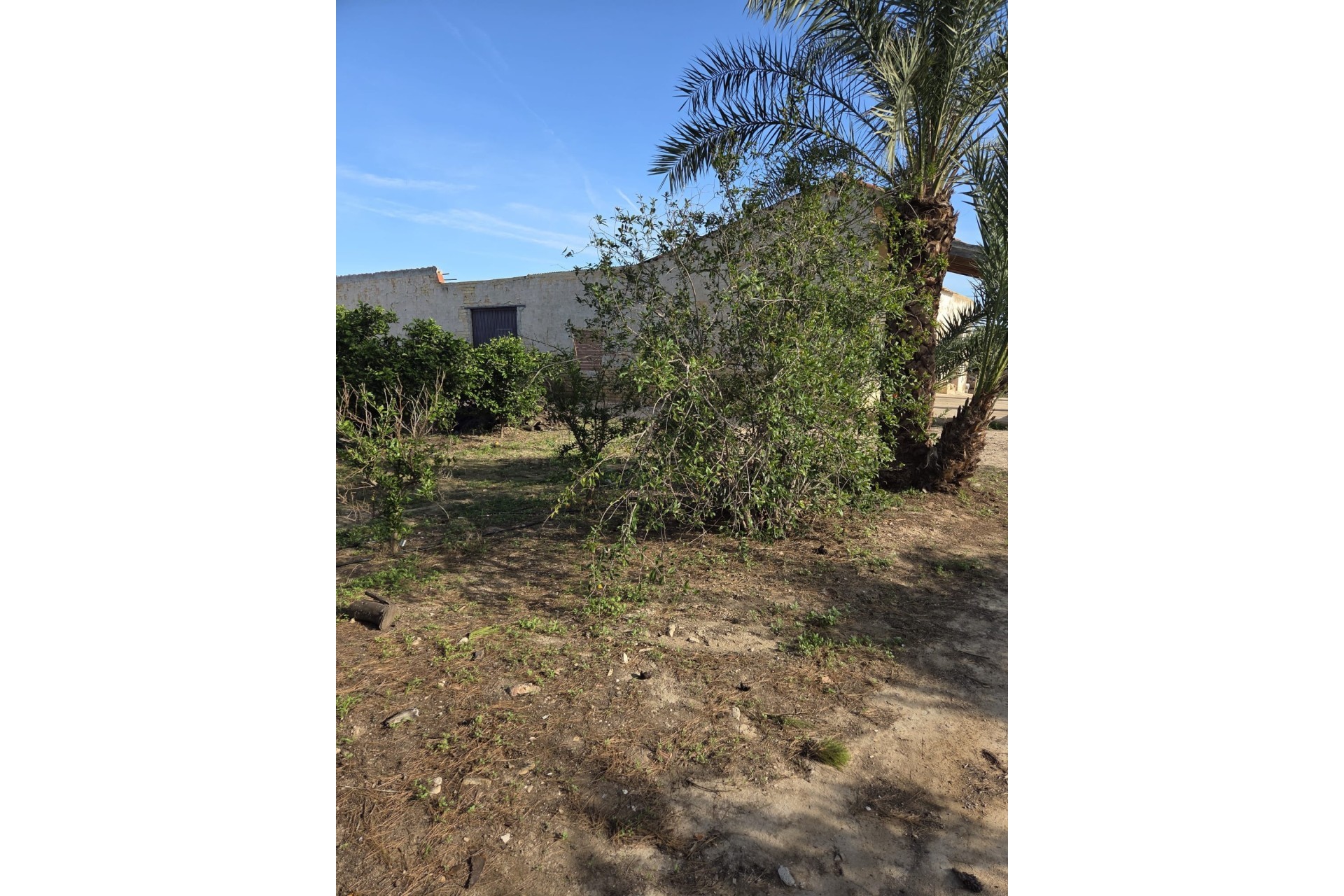 Herverkoop - Finca / Landhuis -
Albatera