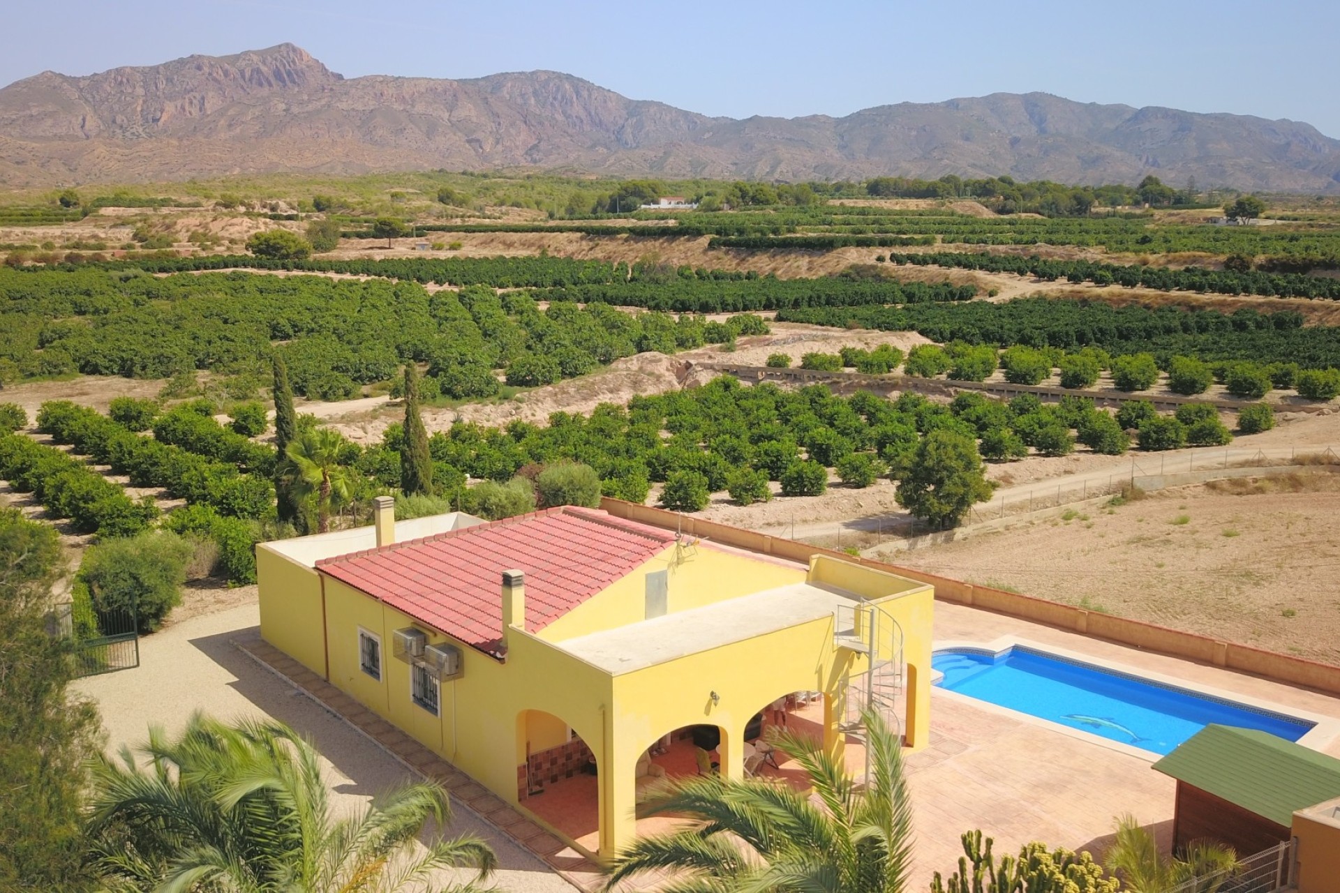 Herverkoop - Finca / Landhuis -
Albatera