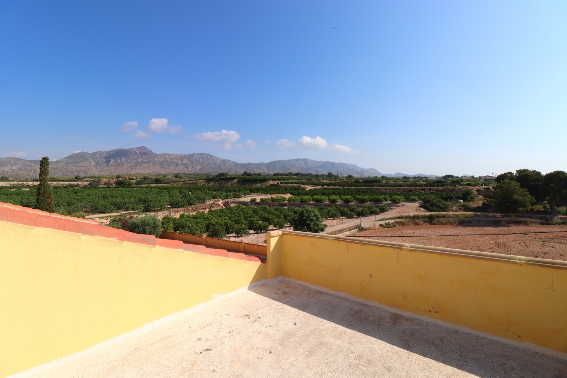 Herverkoop - Finca / Landhuis -
Albatera