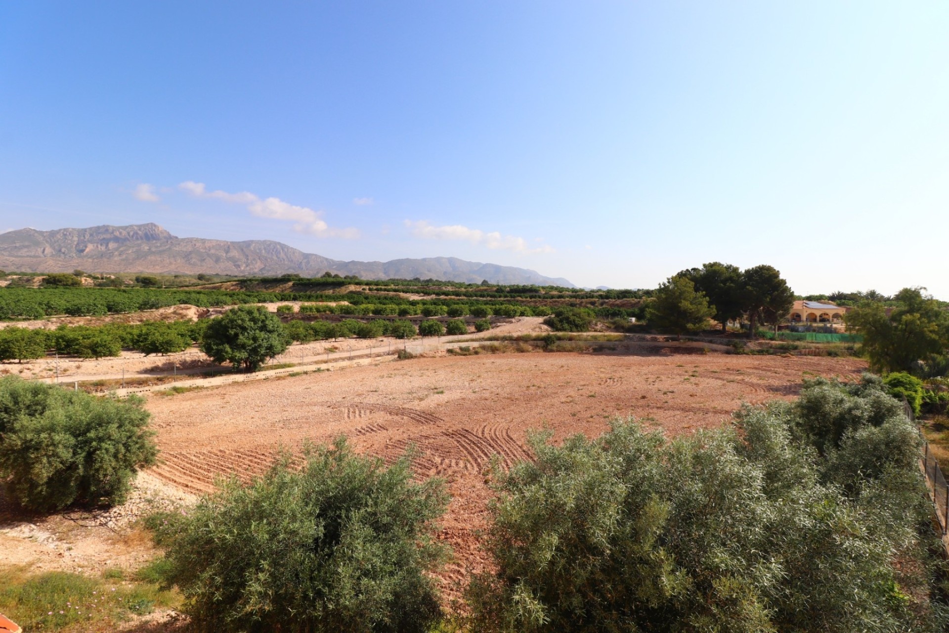 Herverkoop - Finca / Landhuis -
Albatera
