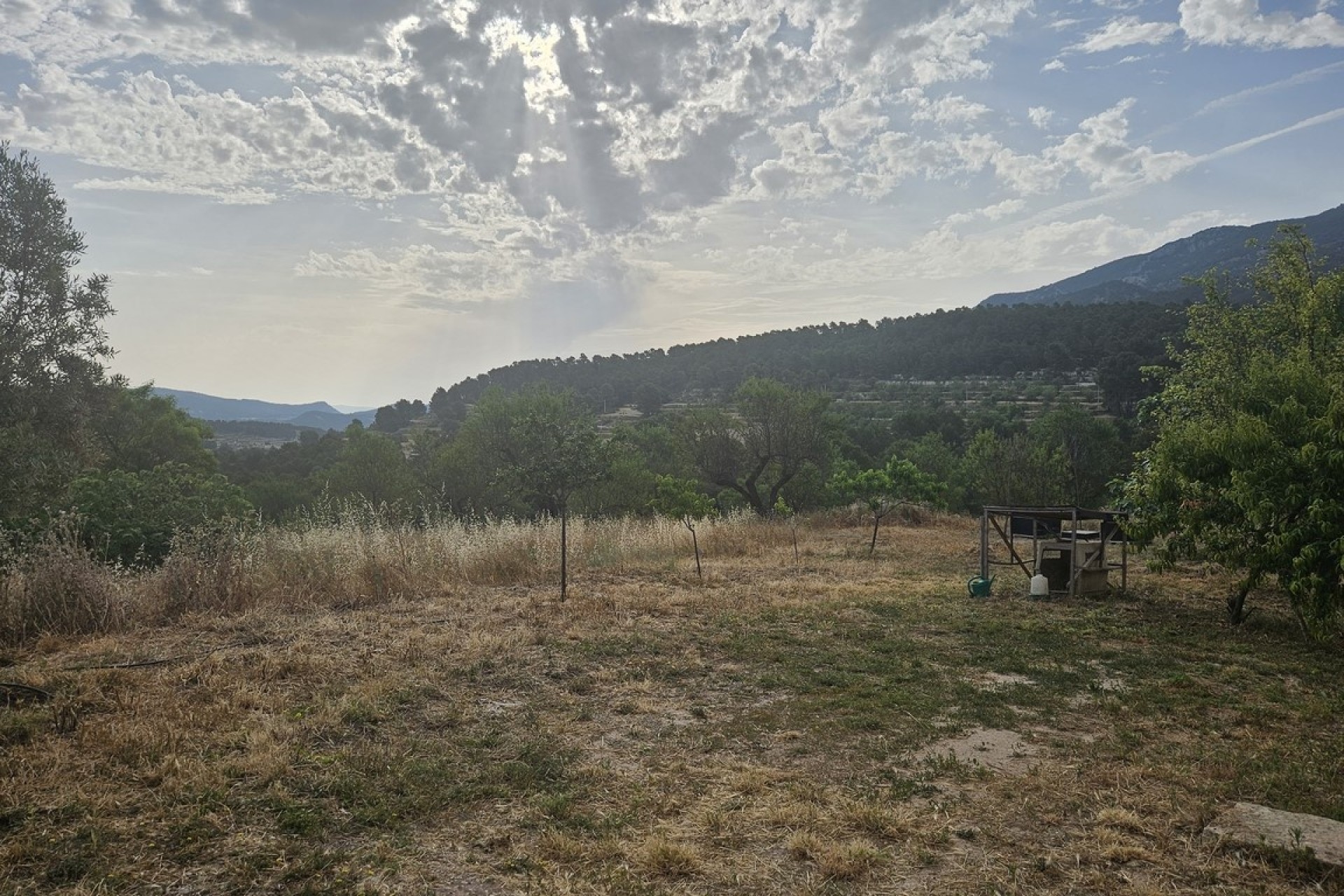 Herverkoop - Finca / Landhuis -
Alcoy