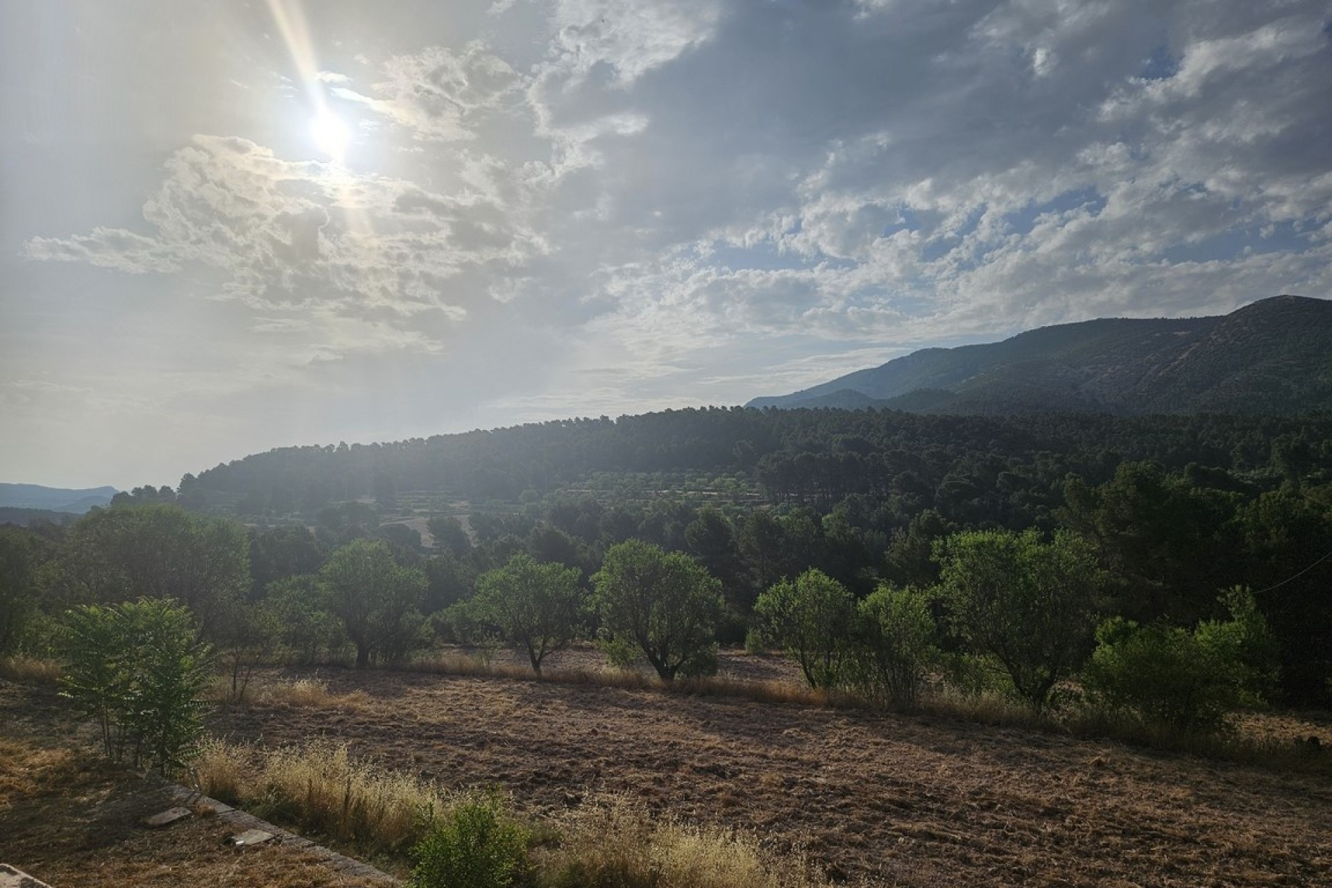 Herverkoop - Finca / Landhuis -
Alcoy