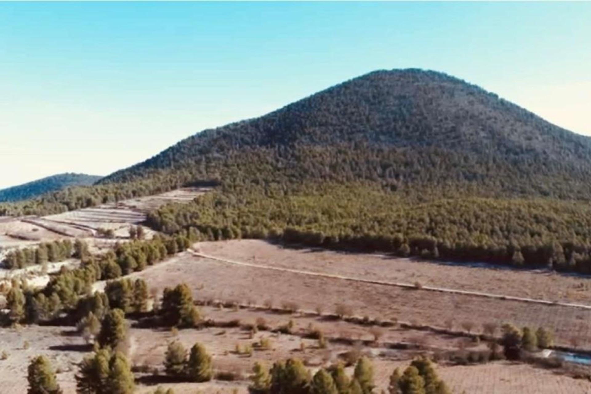 Herverkoop - Finca / Landhuis -
Bullas