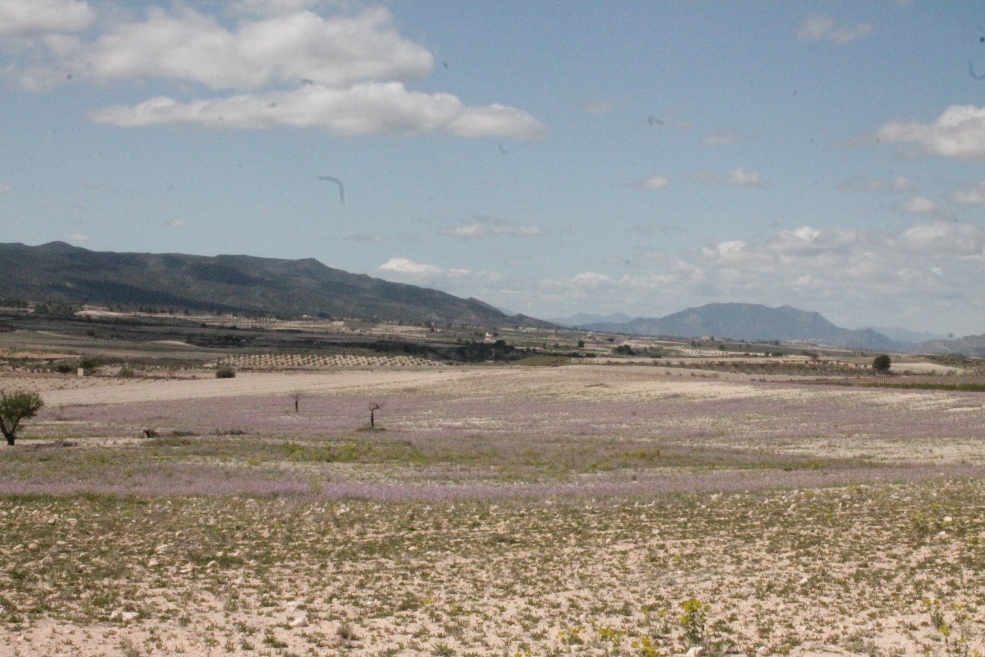 Herverkoop - Finca / Landhuis -
Cañada del Trigo - Canada del Trigo Murcia