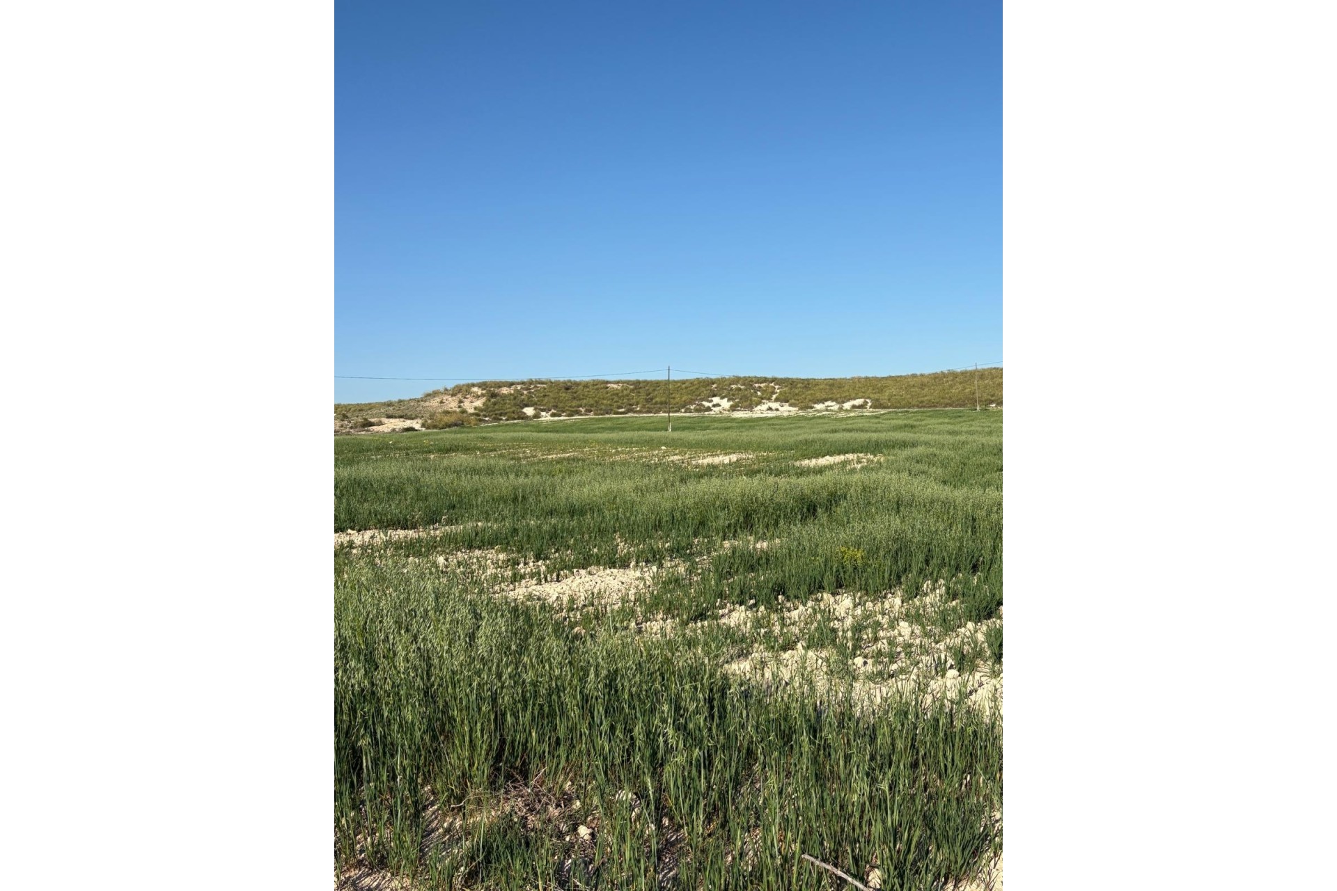 Herverkoop - Finca / Landhuis -
Cañada del Trigo - Canada del Trigo Murcia