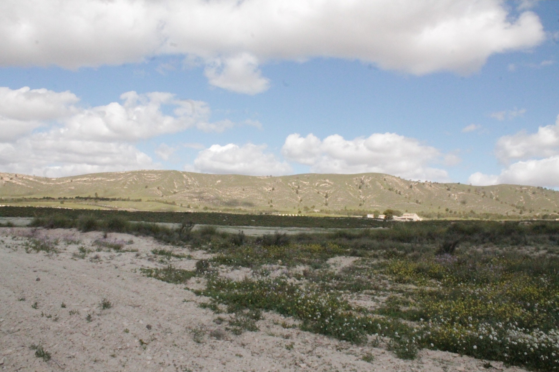 Herverkoop - Finca / Landhuis -
Cañada del Trigo - Canada del Trigo Murcia