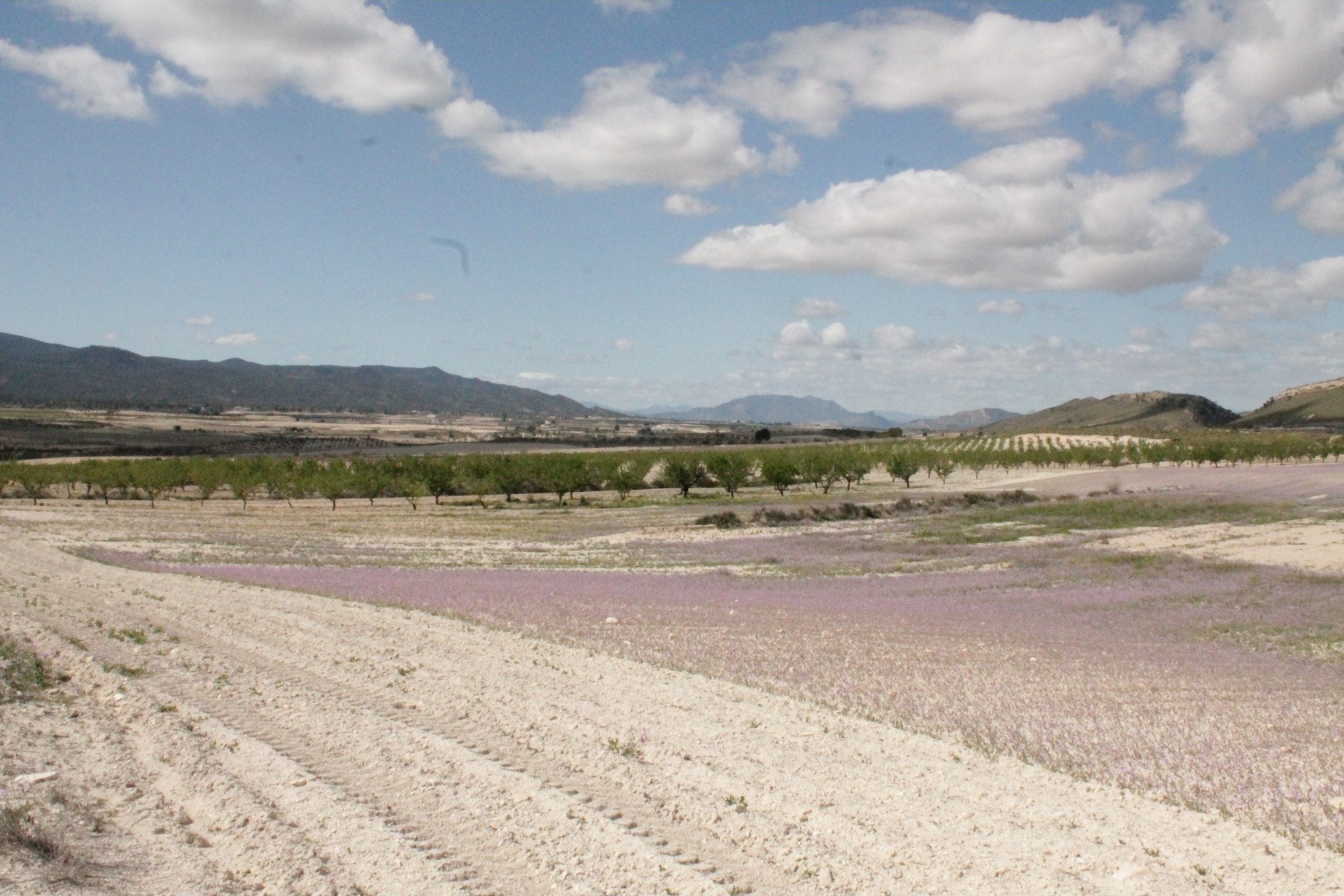 Herverkoop - Finca / Landhuis -
Cañada del Trigo - Canada del Trigo Murcia