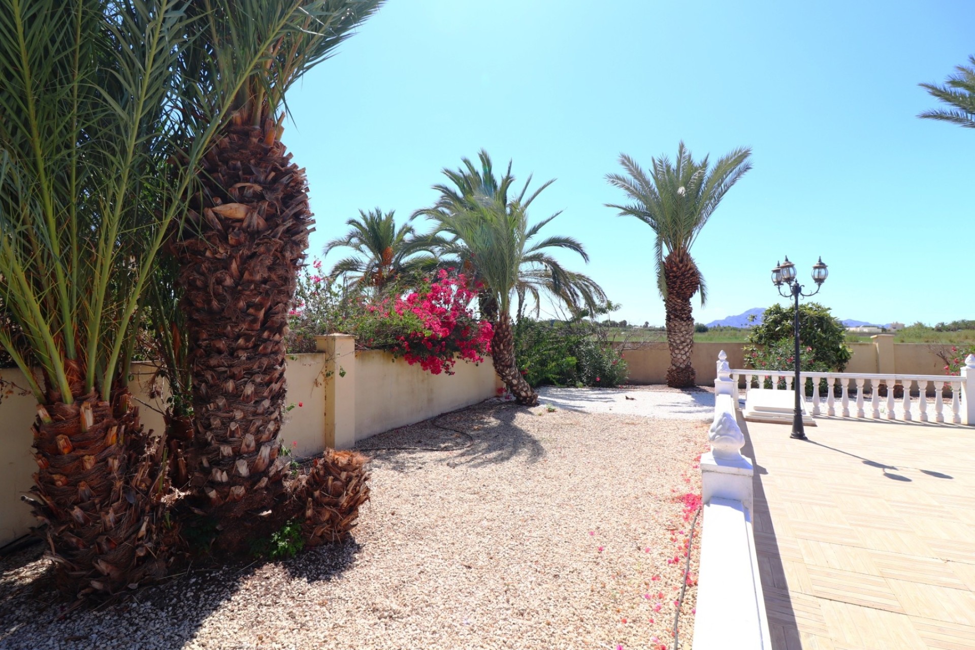 Herverkoop - Finca / Landhuis -
Catral - Catral - Country