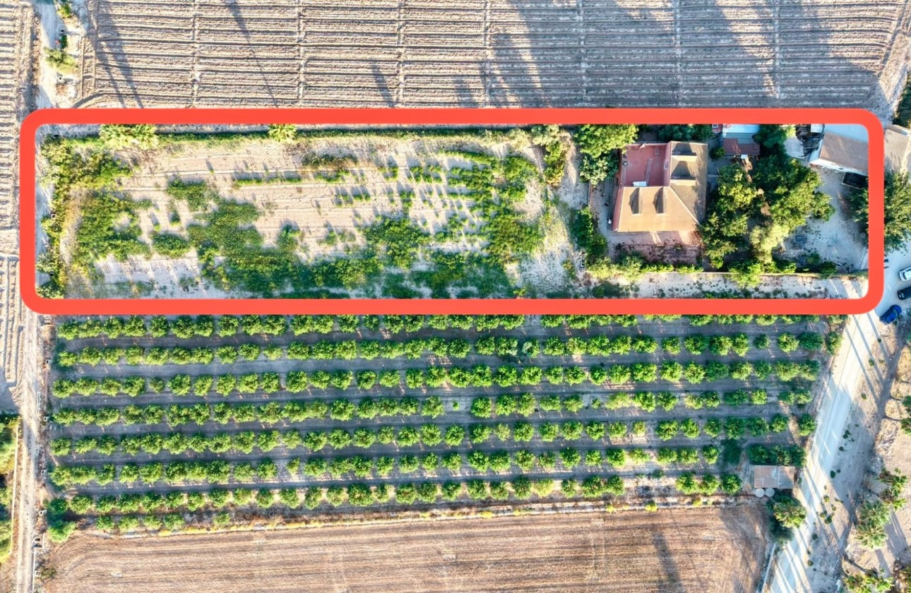 Herverkoop - Finca / Landhuis -
Catral