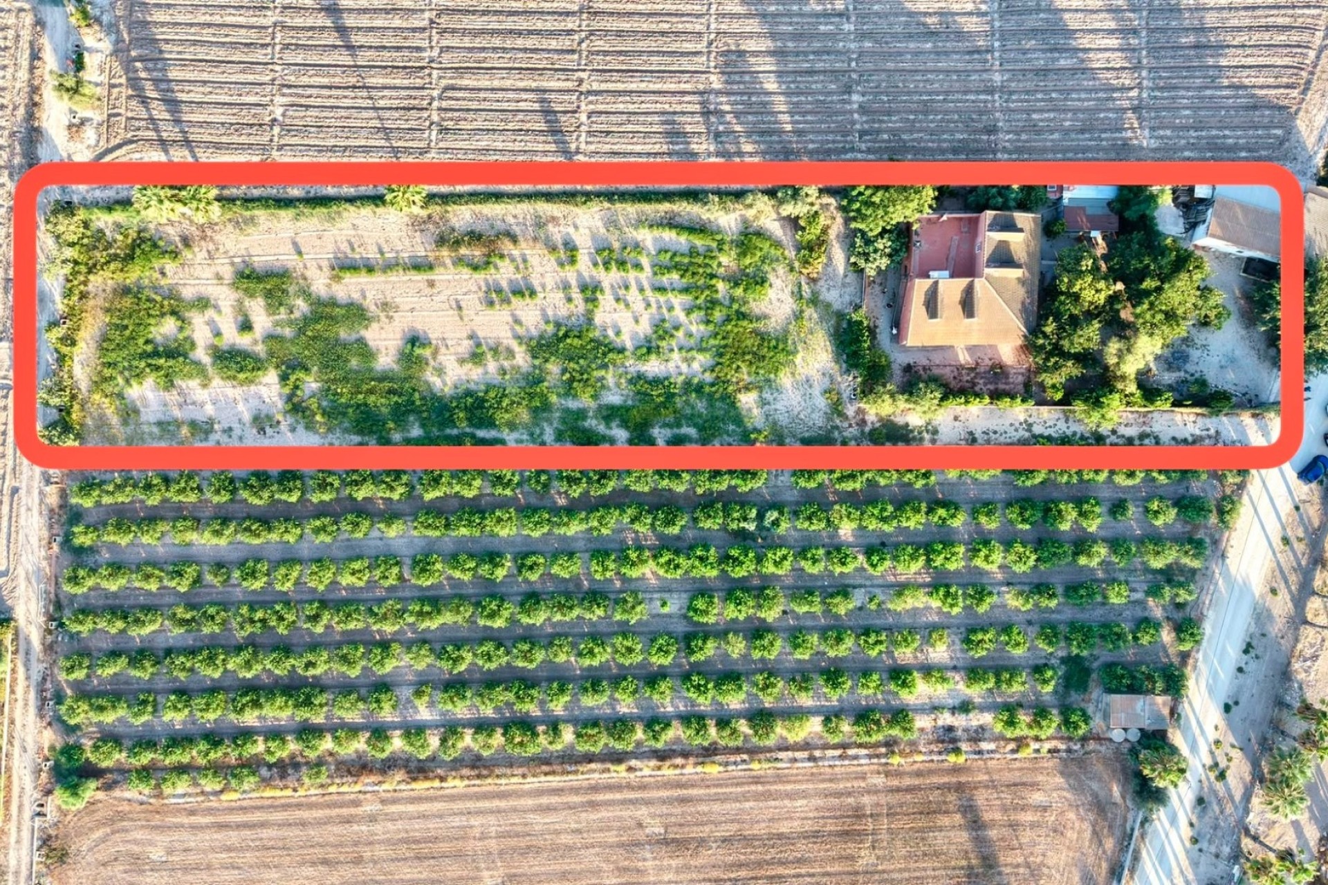 Herverkoop - Finca / Landhuis -
Catral