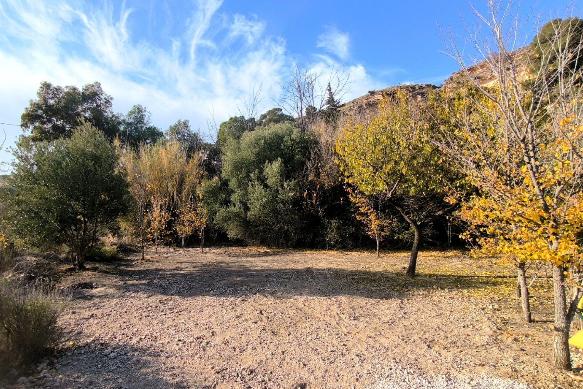 Herverkoop - Finca / Landhuis -
Fortuna