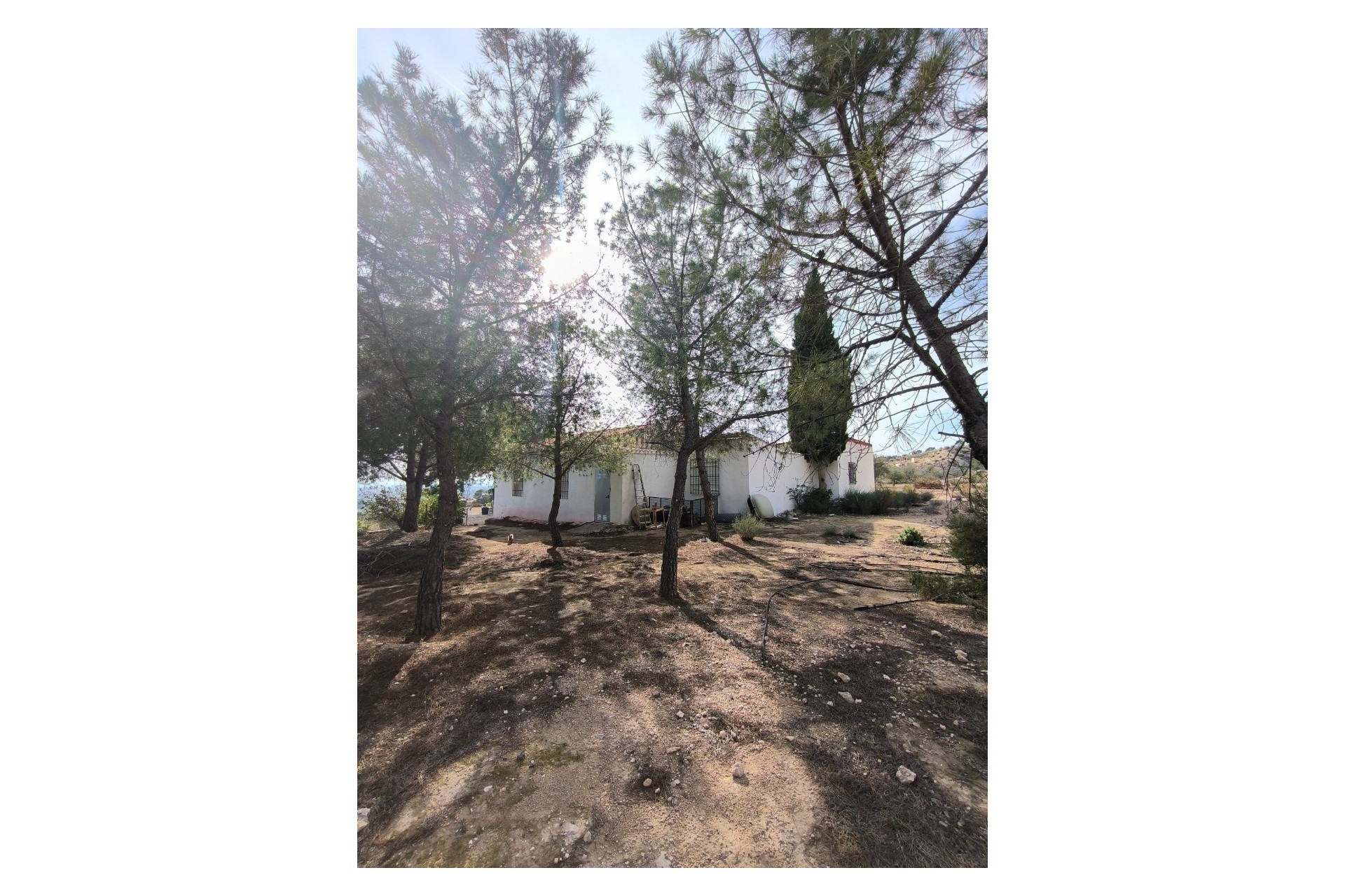 Herverkoop - Finca / Landhuis -
Fortuna