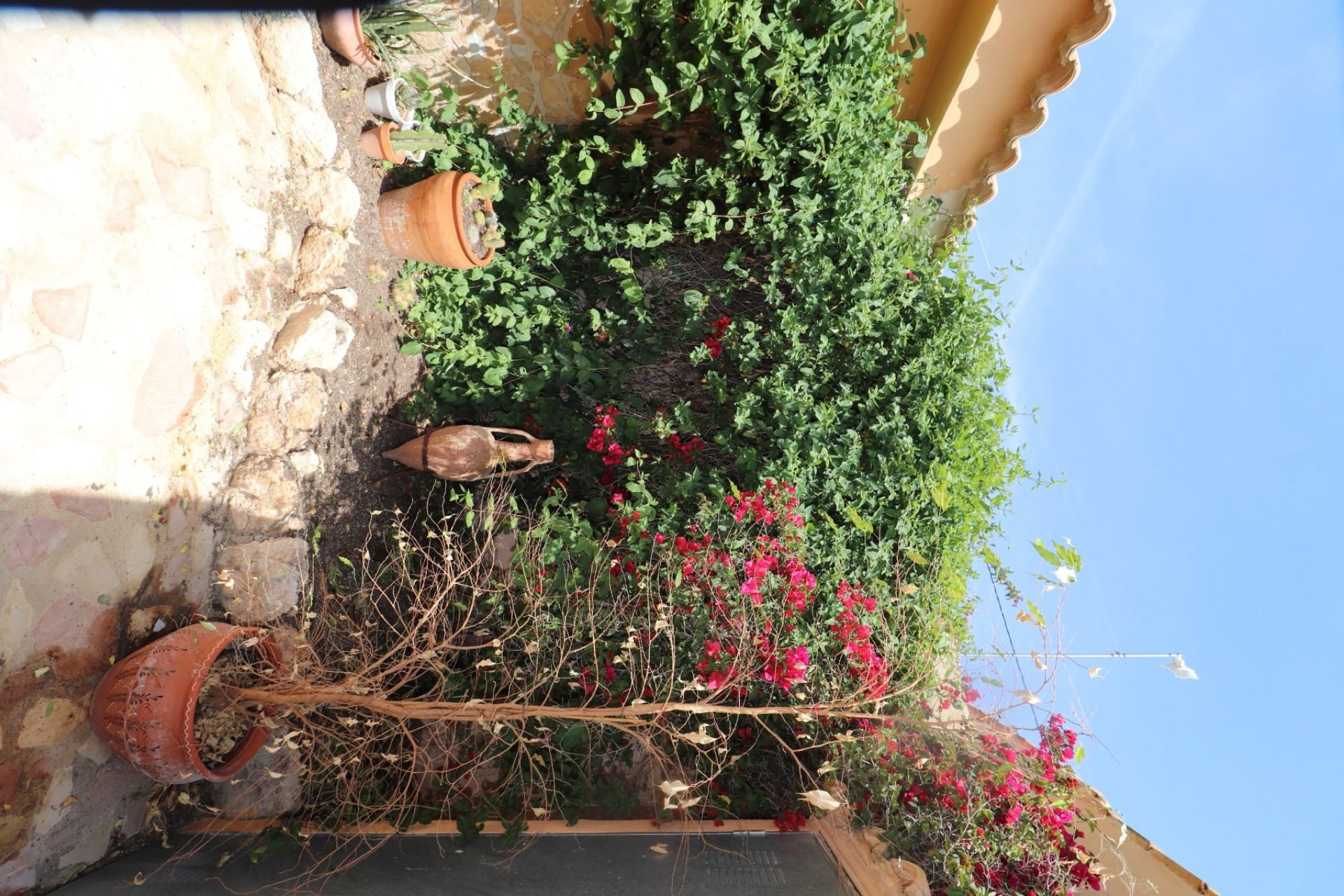 Herverkoop - Finca / Landhuis -
Hondón de las Nieves - La Canalosa