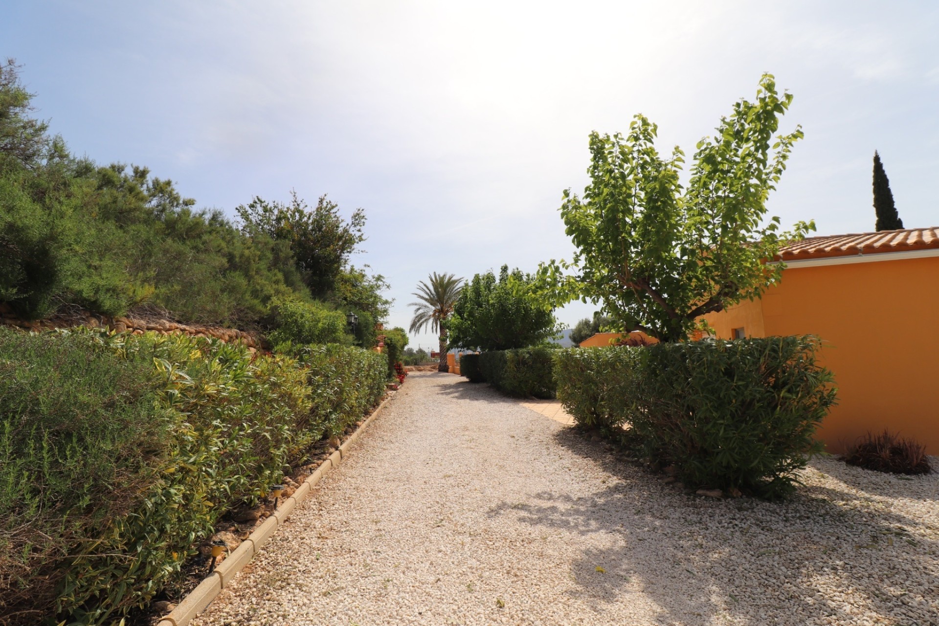 Herverkoop - Finca / Landhuis -
Hondón de las Nieves - La Canalosa