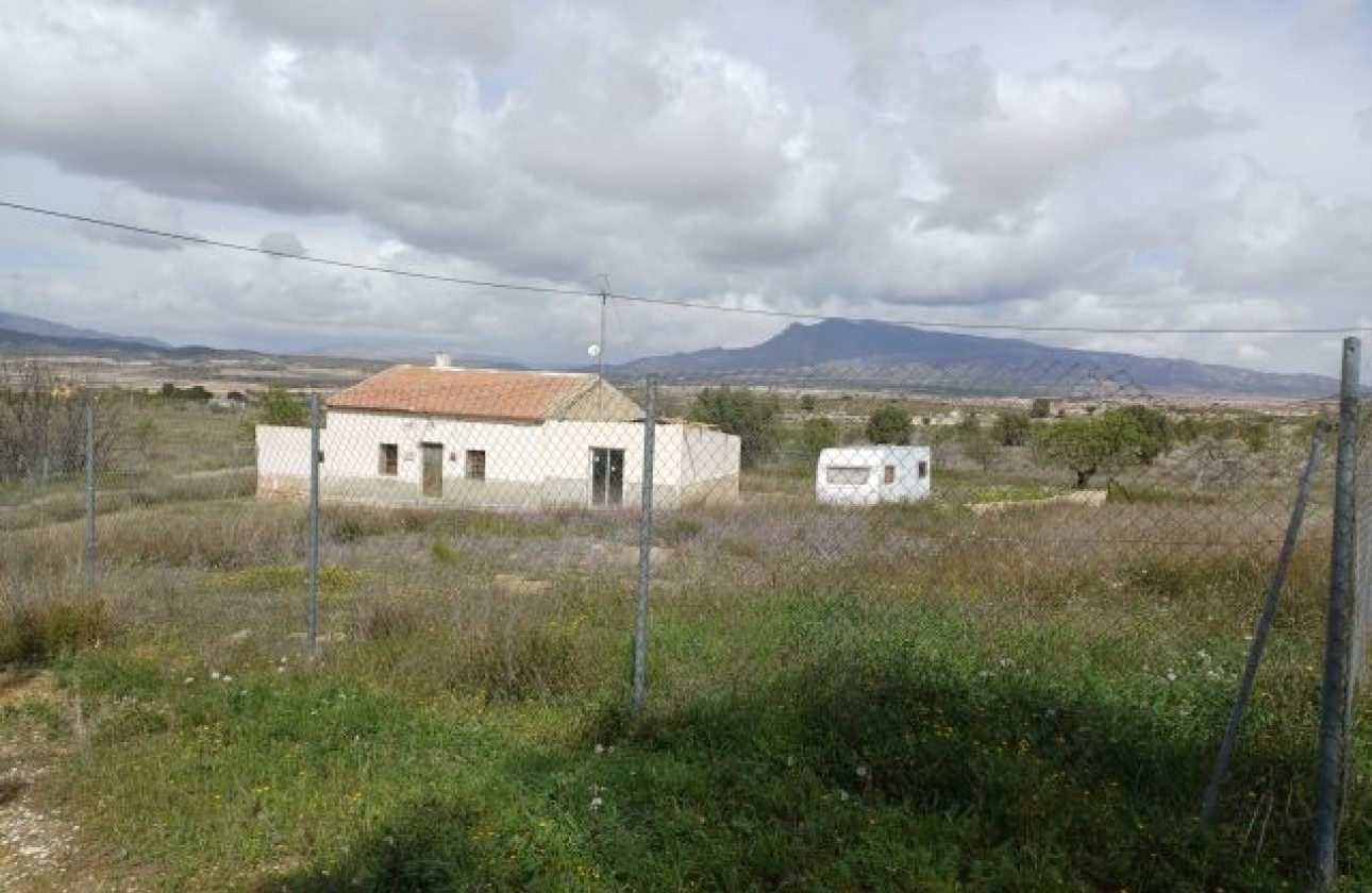 Herverkoop - Finca / Landhuis -
La Zarza