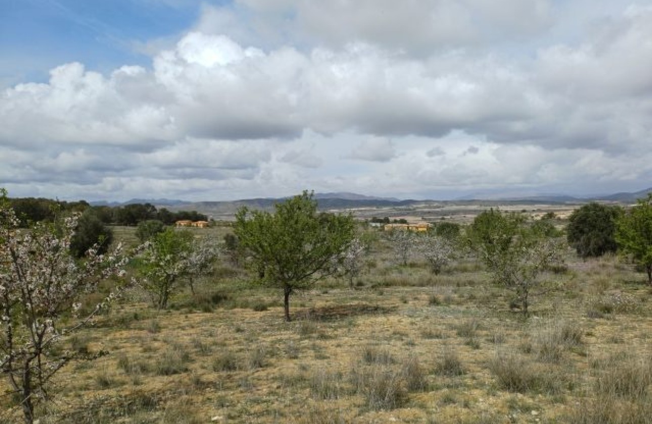 Herverkoop - Finca / Landhuis -
La Zarza