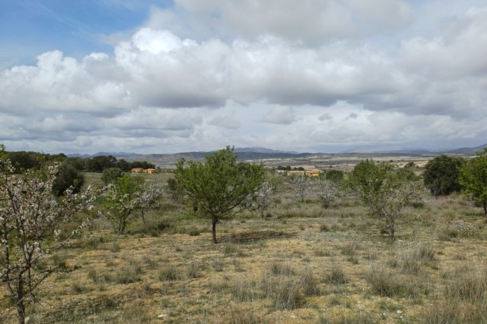 Herverkoop - Finca / Landhuis -
La Zarza