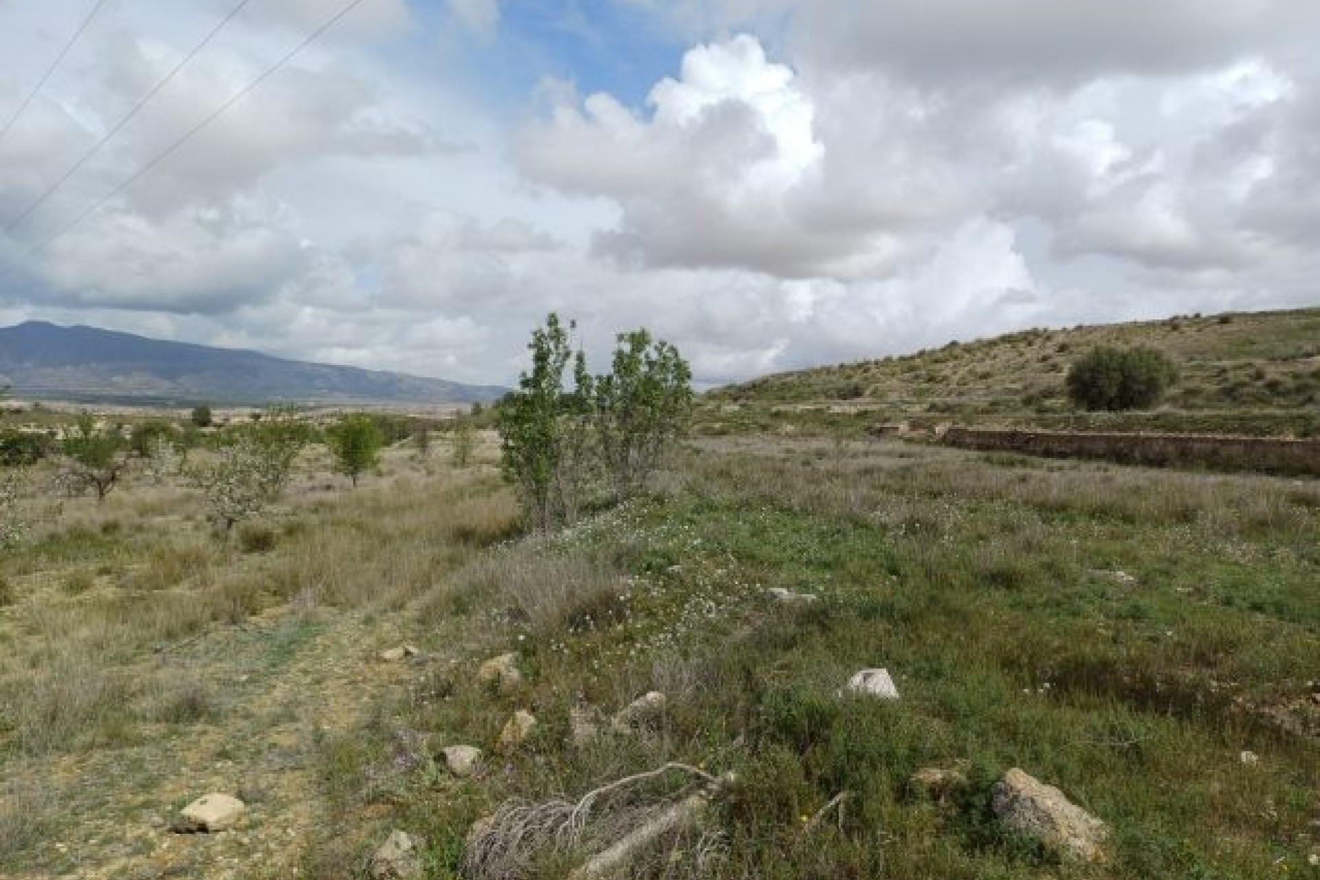 Herverkoop - Finca / Landhuis -
La Zarza