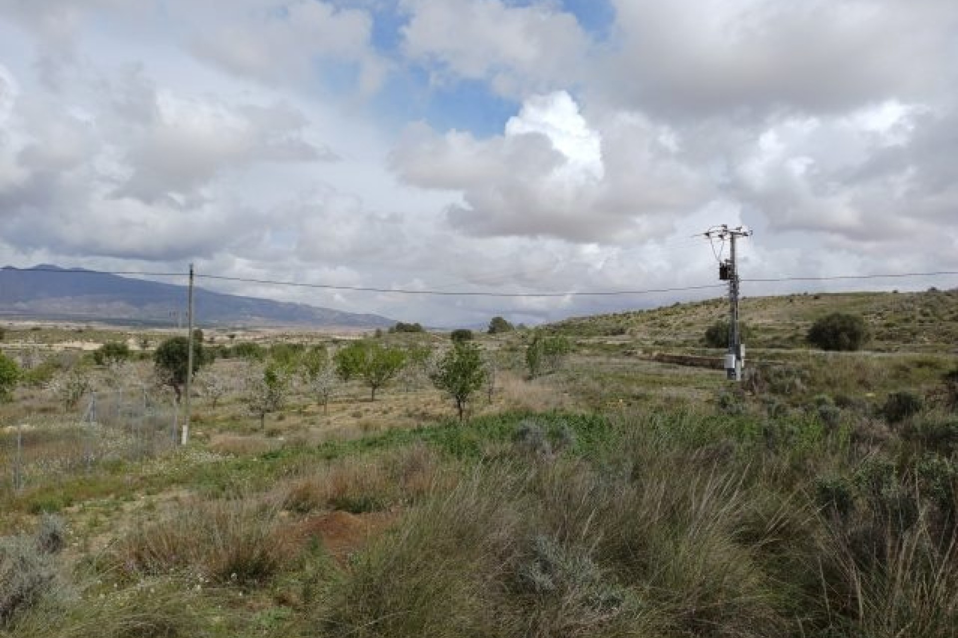 Herverkoop - Finca / Landhuis -
La Zarza