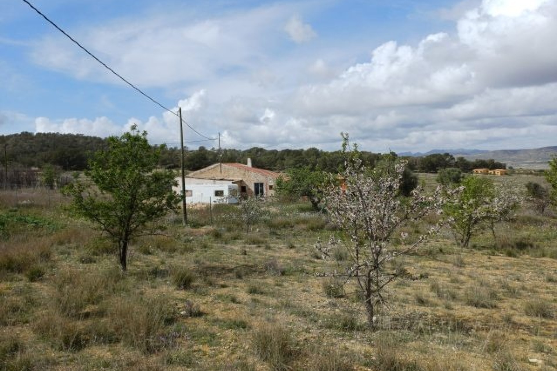 Herverkoop - Finca / Landhuis -
La Zarza