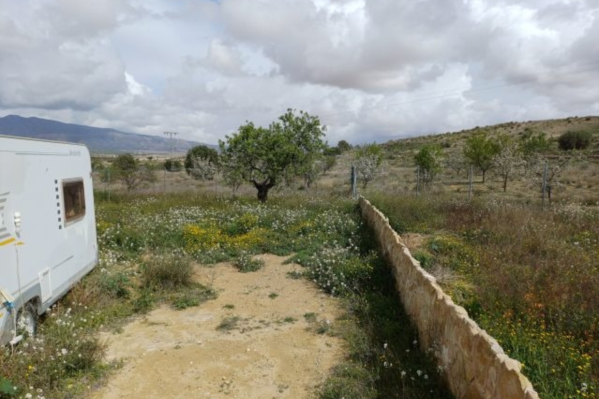 Herverkoop - Finca / Landhuis -
La Zarza