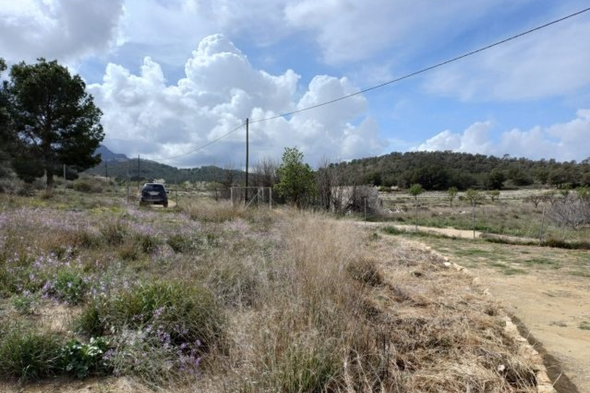 Herverkoop - Finca / Landhuis -
La Zarza