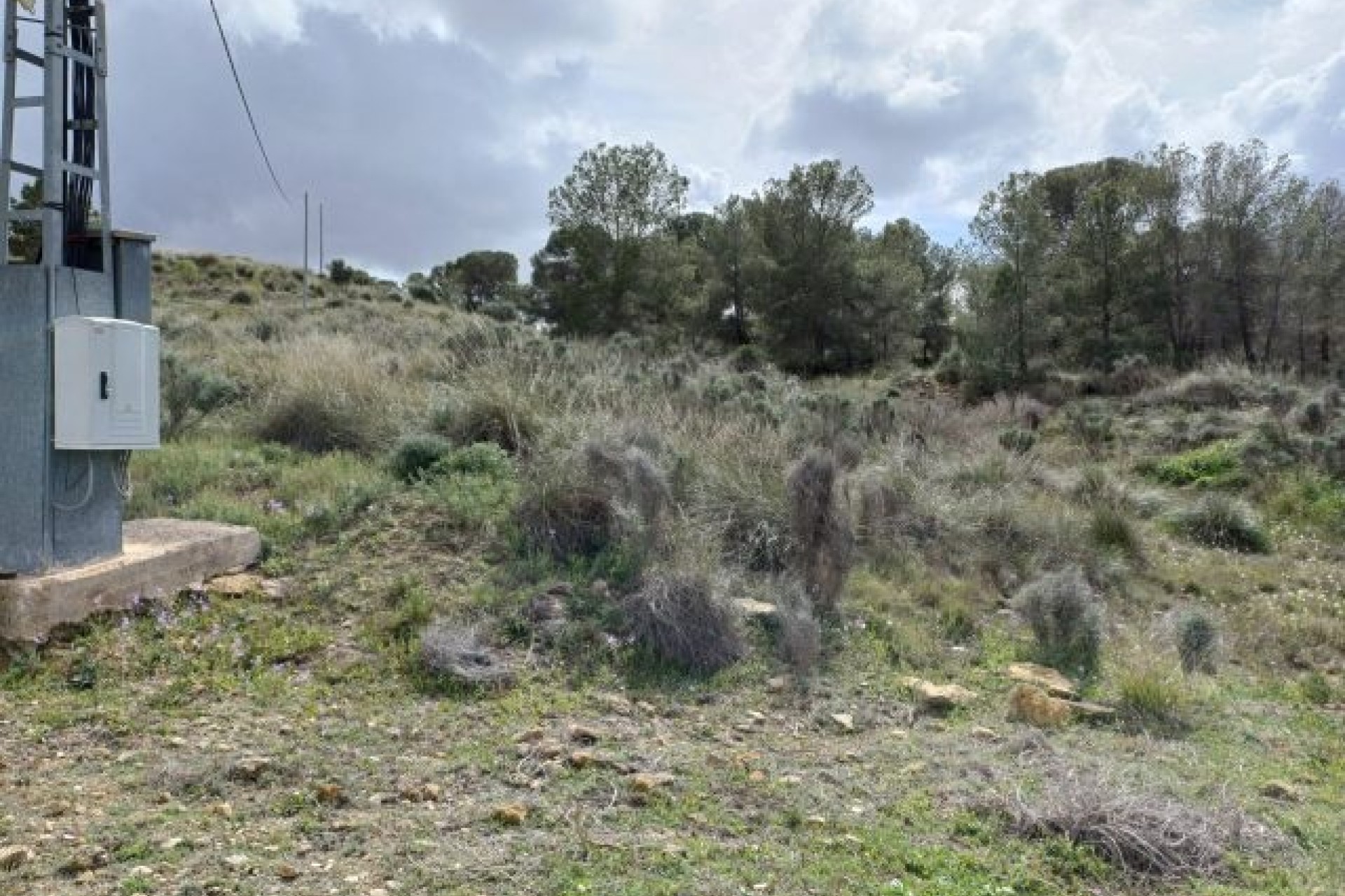 Herverkoop - Finca / Landhuis -
La Zarza