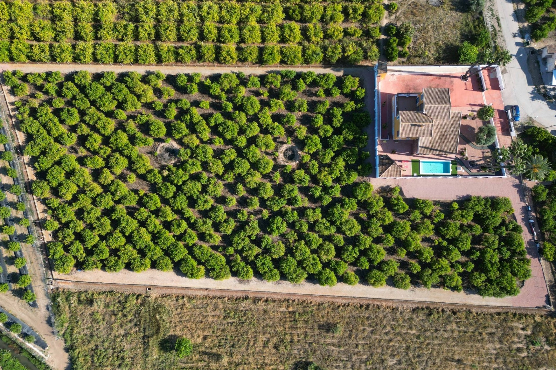 Herverkoop - Finca / Landhuis -
Orihuela - Correntías Medias